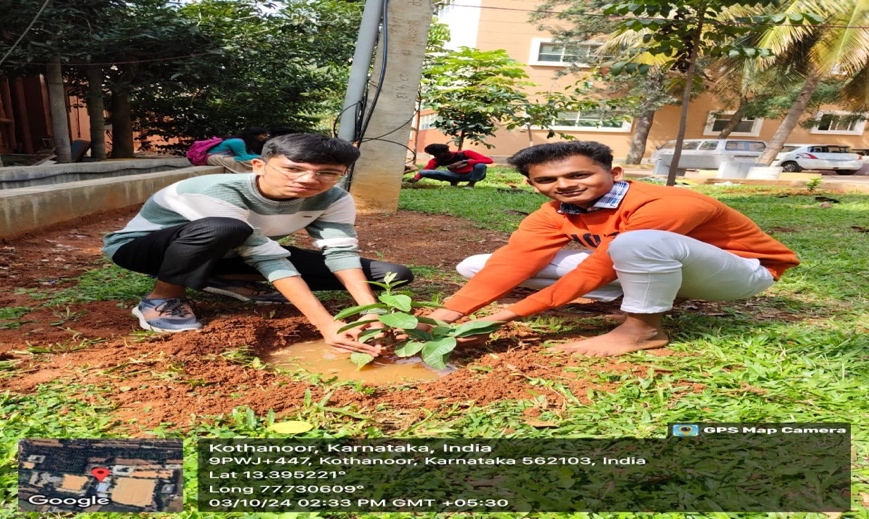 Plantation adoption Activity