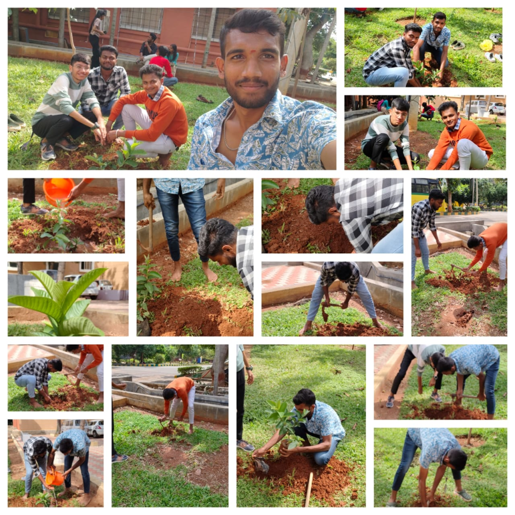Plantation adoption Activity